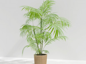 plant 3D मॉडल