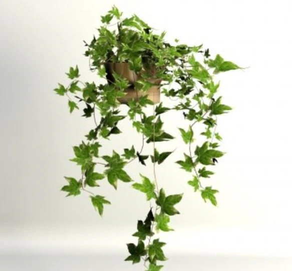 ivypot 3D Model .c4d .max .obj .3ds .fbx .stl .blend 