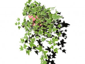 ivypot 3D Model