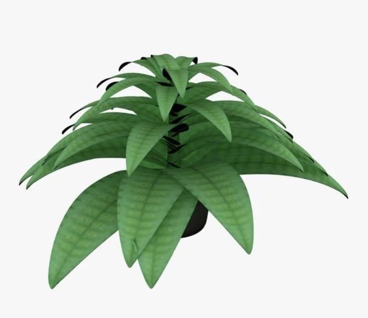 plantinpot 3D Model .c4d .max .obj .3ds .fbx .stl .blend