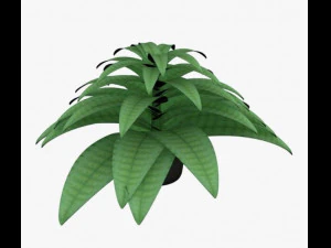 植物罐 3D 模型