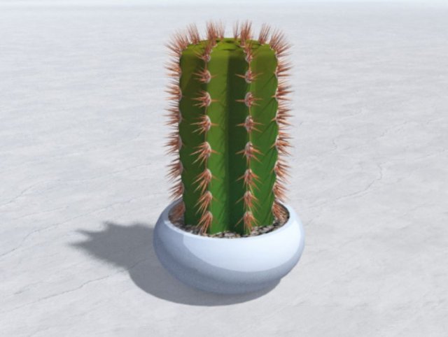 cactus Modello 3D .c4d .max .obj .3ds .fbx .stl .blend 