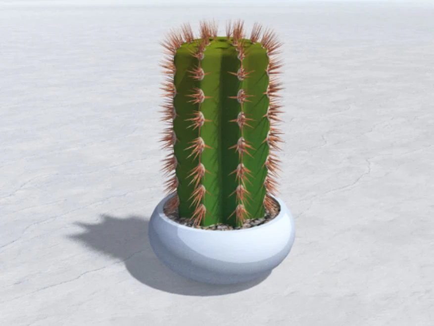 cactus 3D Model .c4d .max .obj .3ds .fbx .stl .blend 