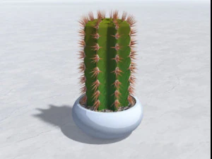 cactus Modèle 3D