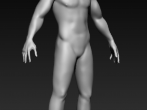 base mesh Modello 3D