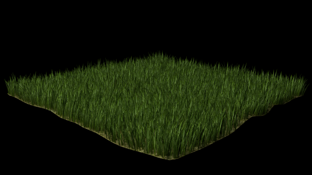 grass 3D मॉडल .c4d .max .obj .3ds .fbx .stl .blend 
