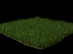 grass 3D Model