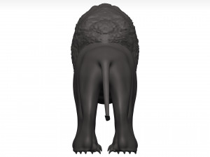 Lion 3D Модель