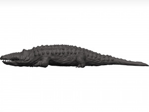 Alligator Modelo 3D