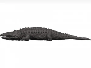 Alligator 3D Model