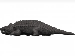 Alligator 3D Model
