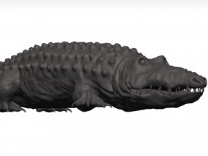 Alligator Modelo 3D