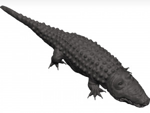 Alligator Modelo 3D