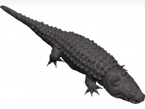 Alligator 3D Model