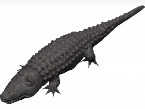 Alligator Modelo 3D