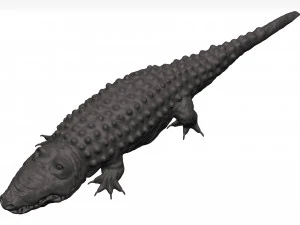 Alligator 3D Model
