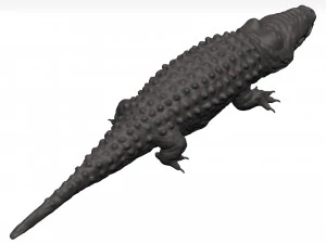 Alligator 3D Model