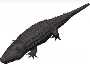 Alligator Modelo 3D