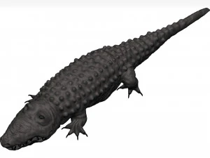 Alligator 3D Model