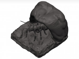 Ant 3D Model