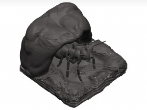 Ant 3D Model