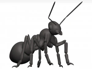 Ant 3D Model