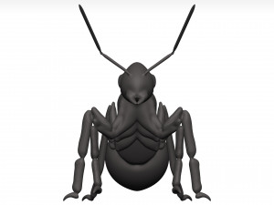 Ant 3D Model