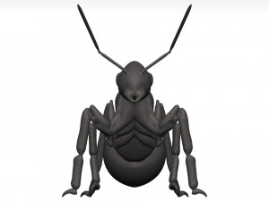 Ant 3D Model
