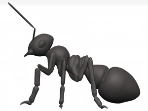 Ant 3D Model