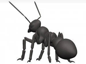 Ant 3D Model