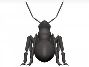 Ant 3D Model