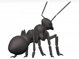 Ant 3D Model
