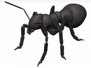 Ant 3D Model