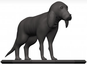 Beagle 3D Model