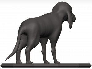 Beagle 3D Model