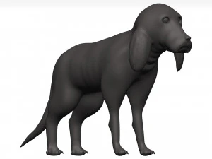 ビーグル 3Dモデル