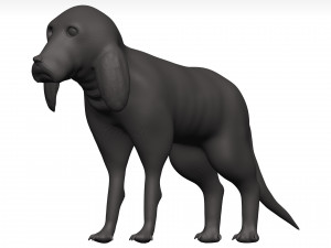 Beagle 3D Model
