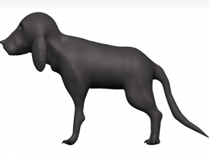 Beagle 3D Model