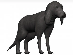 ビーグル 3Dモデル