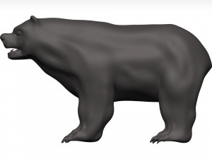 Bear 3D Модель
