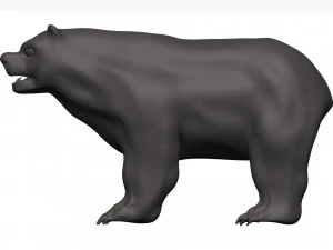 Orso Modello 3D