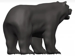 Orso Modello 3D