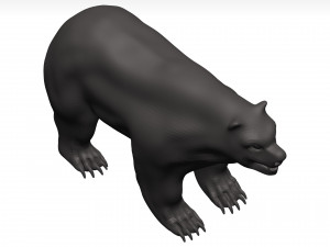 Bear 3D Модель