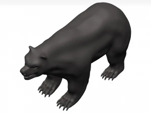 Orso Modello 3D