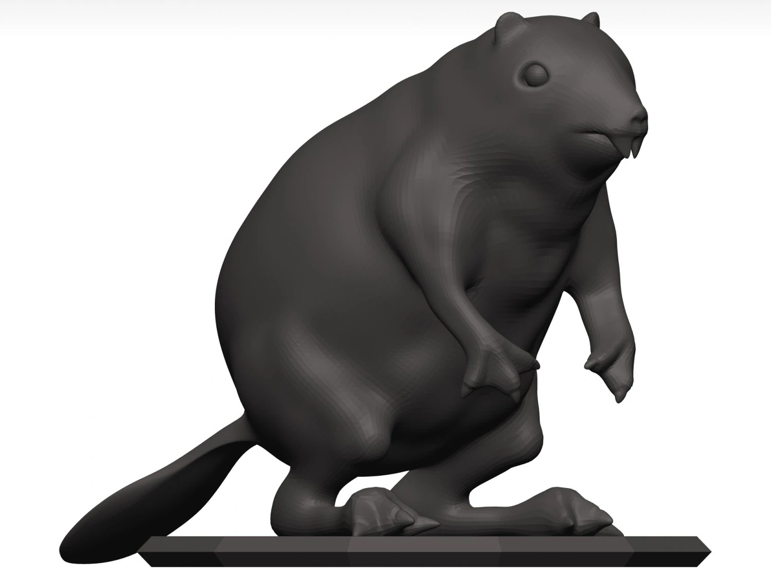 Beaver 3D Model .c4d .max .obj .3ds .fbx .stl .blend 