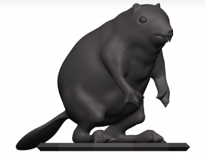 Beaver 3Dモデル