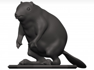Beaver Model 3D