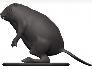 Beaver Model 3D