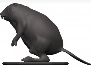 Beaver 3D Model