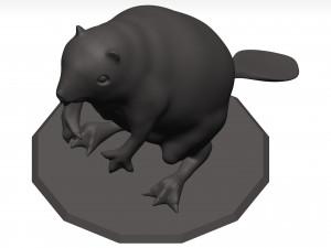 Beaver Model 3D